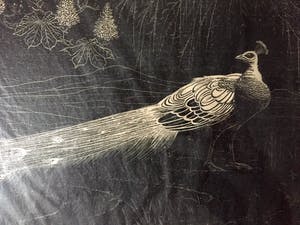 Henri Verstijnen - "Pauw" - Houtsnede, Ingelijst kopen? Bied vanaf 80!