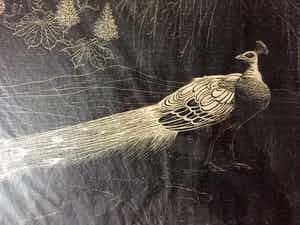 Henri Verstijnen - "Pauw" - Houtsnede, Ingelijst verkocht voor € 80!