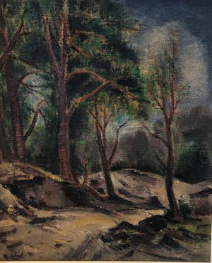 Arnout Colnot - Bosgezicht kopen? Bied vanaf 340!