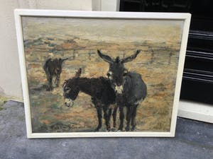 Jan Groenestein - C4574 - Ezeltjes kopen? Bied vanaf 350!