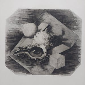 Hans van Dokkum - Het Schelpenoog kopen? Bied vanaf 35!