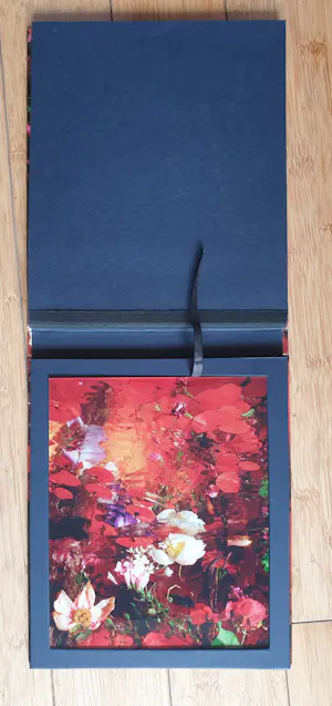 Margriet Smulders - "Get Drunk" - Foto Cibachrome - 2006 - Inclusief gesigneerd Boek - 13/77 kopen? Bied vanaf 350!