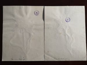 Niet of onleesbaar gesigneerd - Bloemen (5X) kopen? Bied vanaf 1!