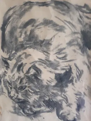 Johannes Elsinga - Rustende poes kopen? Bied vanaf 1!