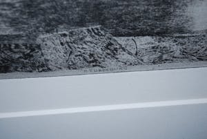 Charles Donker - Handgedrukte ets, oplage 50 - - Bos XVII - definitieve, 4e staat - 1999 kopen? Bied vanaf 350!