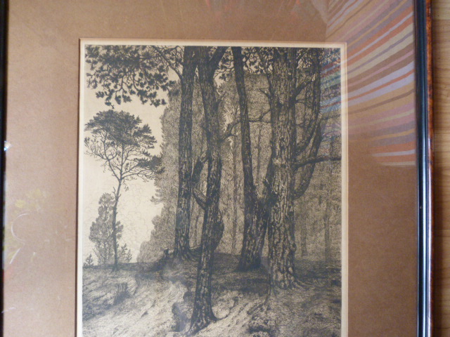 Maurits van der Valk - Boslandschap. kopen? Bied vanaf 20!