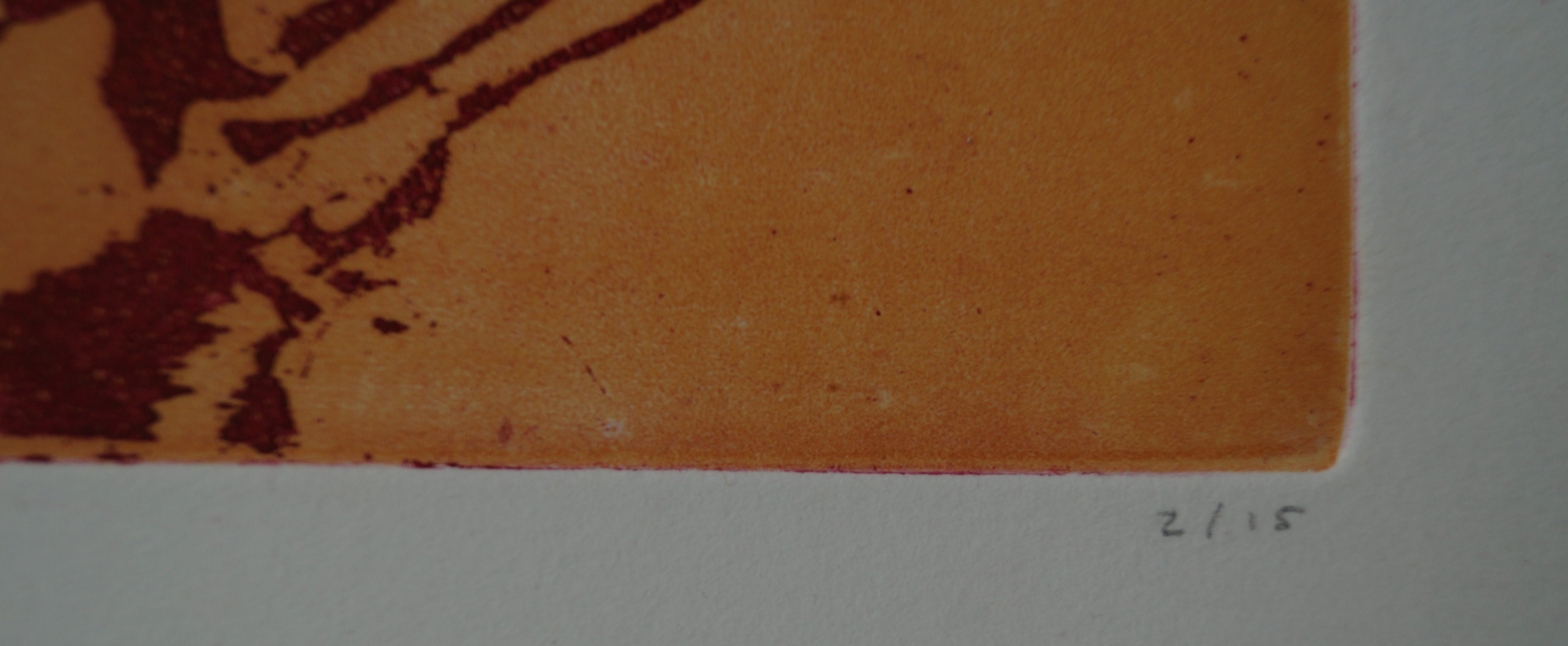 Saskia van Broekhoven - gesigneerde ets kopen? Bied vanaf 18!