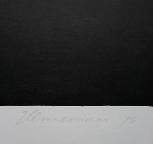 Jeroen Henneman - Venster, litho kopen? Bied vanaf 100!