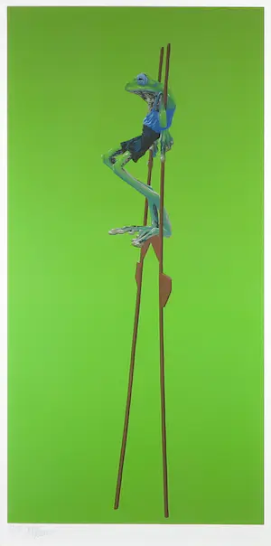 Jasper Oostland - Giclee, Rhacophorus nigropalmatus - Ingelijst (Groot) kopen? Bied vanaf 35!