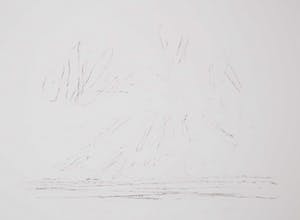 Willem den Ouden - Litho, De Waal (op onderblad) kopen? Bied vanaf 10!