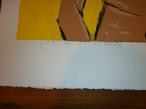 Peter Klashorst - my yellow princess [zeer groot] kopen? Bied vanaf 1!