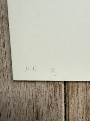 Henk Visch - Voor Chris kopen? Bied vanaf 95!