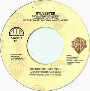 Sylvester - Sylvester - “Someone like you” - 7" vinyl verkauft für € 1!