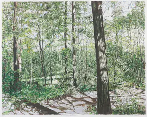 Karin Elfrink - Zeefdruk, Bomen Bos Koningsduin - Ingelijst kopen? Bied vanaf 60!