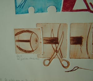 Arend van Dam - Kleuren ets op papier, getiteld "De schele ogen van Donald" 4/15 kopen? Bied vanaf 15!