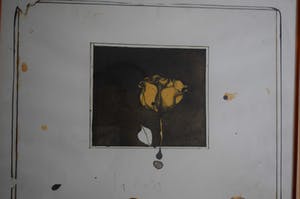 Bruno Bruni - Ets - La Rosa kopen? Bied vanaf 175!