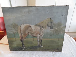 Niet of onleesbaar gesigneerd - Paard in de wei kopen? Bied vanaf 10!