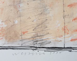 Co Westerik - Vrouw op rug gezien, litho (groot) kopen? Bied vanaf 225!