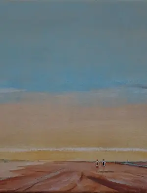 Franklin Meijer - Texel - Strand kopen? Bied vanaf 95!