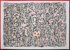 Jan Wolkers - Winterbeelden V, zeefdruk + foto + gedicht + gratis verzending ! kopen? Bied vanaf 250!