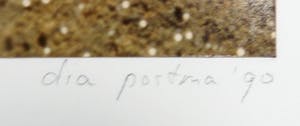 Dia Postma - Foto, Zonder titel- Ingelijst kopen? Bied vanaf 1!