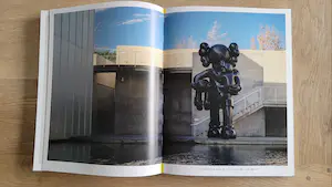 KAWS - What Party - Phaidon limited edition boek - Roze editie kopen? Bied vanaf 100!