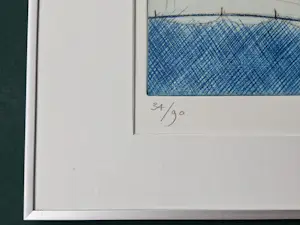 Ronald Tolman - Koorddanser en vogel kopen? Bied vanaf 95!