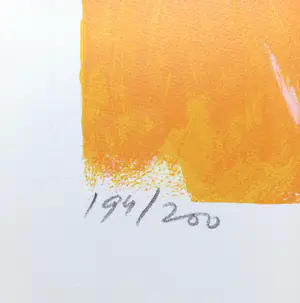 Jan Cremer - Blauwe tulpen, zeefdruk (groot) kopen? Bied vanaf 1!