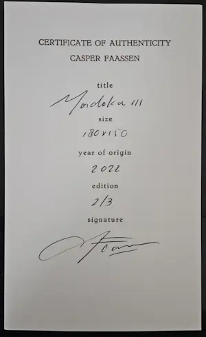 Casper Faassen - Madoka III kopen? Bied vanaf 14500!