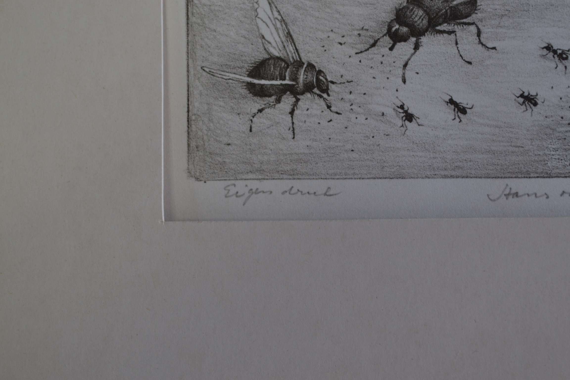 Hans van Dokkum - ets, drie vliegen en vier mieren kopen? Bied vanaf 20!