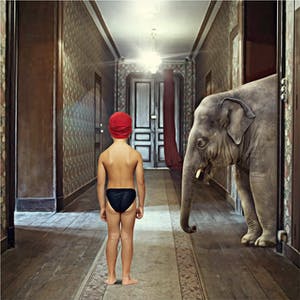 Mr. Strange - Young Maharaja kopen? Bied vanaf 50!