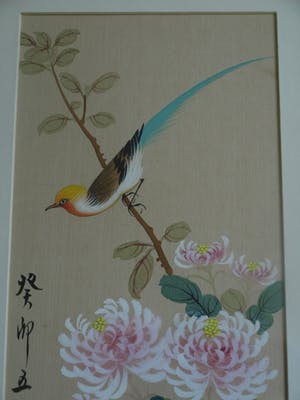 Niet of onleesbaar gesigneerd - Ingelijste gouache op zijde, Japan? China? , Vogel op bloemtak kopen? Bied vanaf 1!