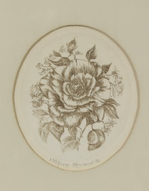 Truusje Mul - Ariane Arnold e.a, Lot van vijf stuks grafiek, Florale/ botanische voorstellingen kopen? Bied vanaf 1!
