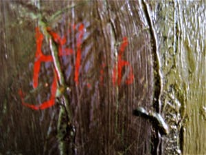 Niet of onleesbaar gesigneerd - GROOT omstreeks 1930 geschilderd stilleven van Rode potplant kopen? Bied vanaf 10!