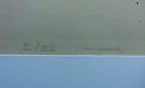 Frank Lodeizen - Litho op papier, Landschap - Ingelijst kopen? Bied vanaf 60!