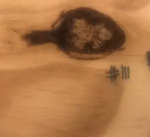 Joop Stoop - Zelfportret kopen? Bied vanaf 100!