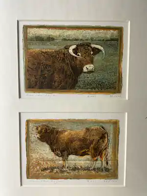 Han van Hagen - Stieren verkauft für € 90!