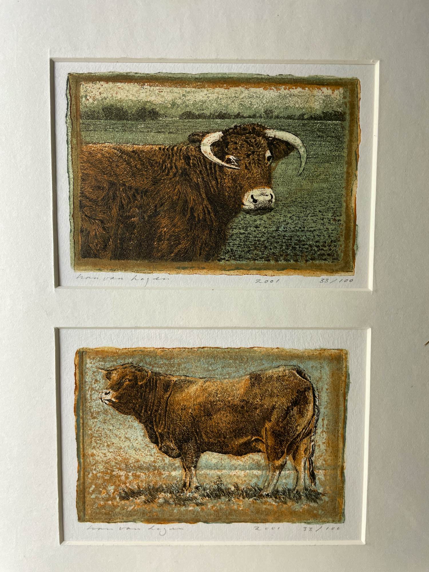 Han van Hagen - Stieren kopen? Bied vanaf 100!