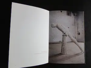 Johan Tahon - Signed; Johan Tahon - Lot of 13 publications - 1998 kopen? Bied vanaf 120!