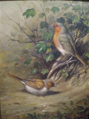 Niet of onleesbaar gesigneerd - Stilleven van 2 koolmezen in Grote lijst kopen? Bied vanaf 10!