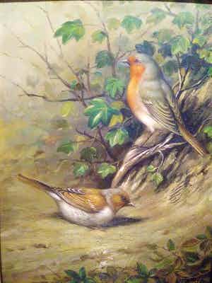 Niet of onleesbaar gesigneerd - Stilleven van 2 koolmezen in Grote lijst verkocht voor € 10!