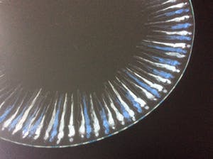 Corry Ammerlaan - GLAZEN SCHAAL kopen? Bied vanaf 15!