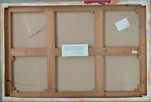 Guy Baekelmans - Beyond Imagination - werk uit serie - kopen? Bied vanaf 450!