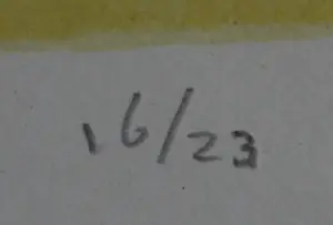 Johan Wicherson - Litho - 1978 kopen? Bied vanaf 45!