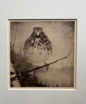 Jan Mankes - Originele Heliogravure Lijster op Tak 1923 kopen? Bied vanaf 195!