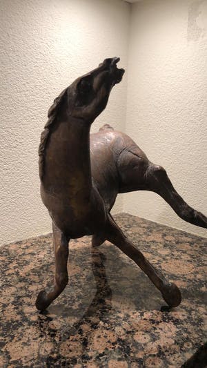 Jos Dirix - Steigerend paard kopen? Bied vanaf 900!