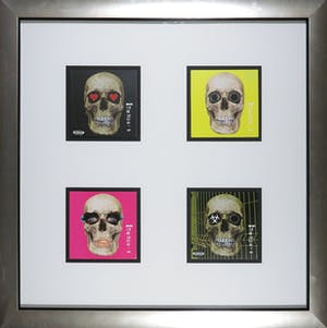 Damien Hirst - (Gesigneerd) Albums van The Hours - Ingelijst kopen? Bied vanaf 1!