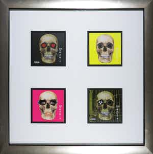 Damien Hirst - (Gesigneerd) Albums van The Hours - Ingelijst verkocht voor € 1!