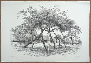 Patrick Creyghton - Gestutte boom, litho kopen? Bied vanaf 35!