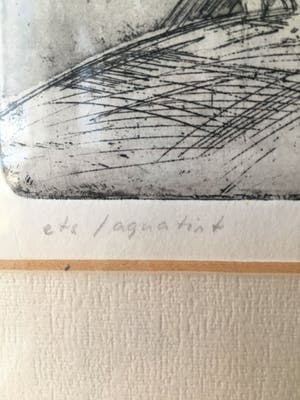 Wil Wiegant - Verwording kopen? Bied vanaf 50!